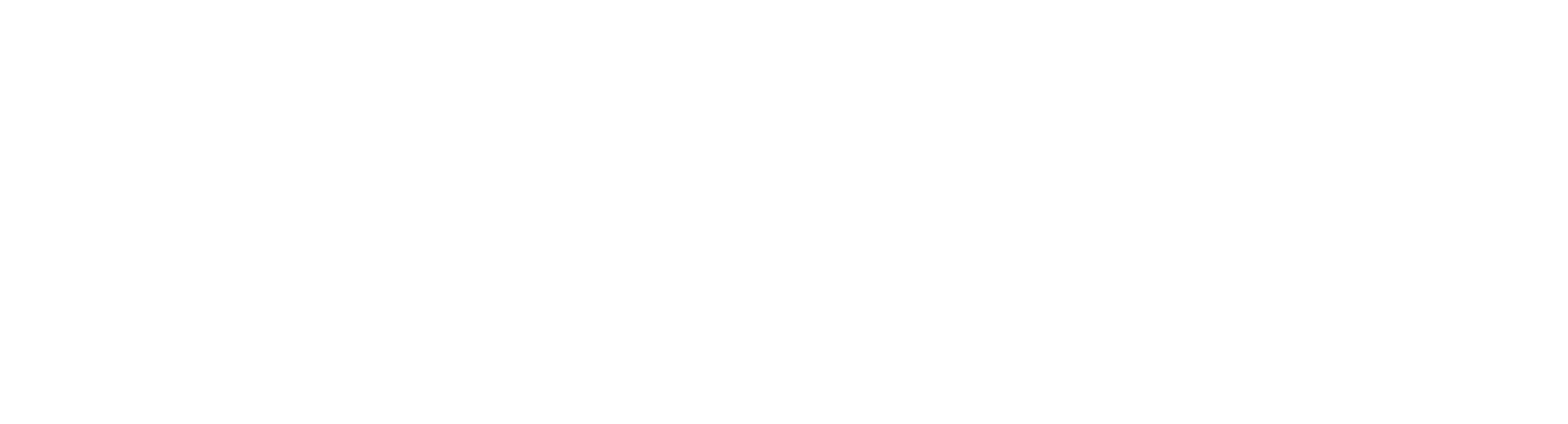 Flyte Logo