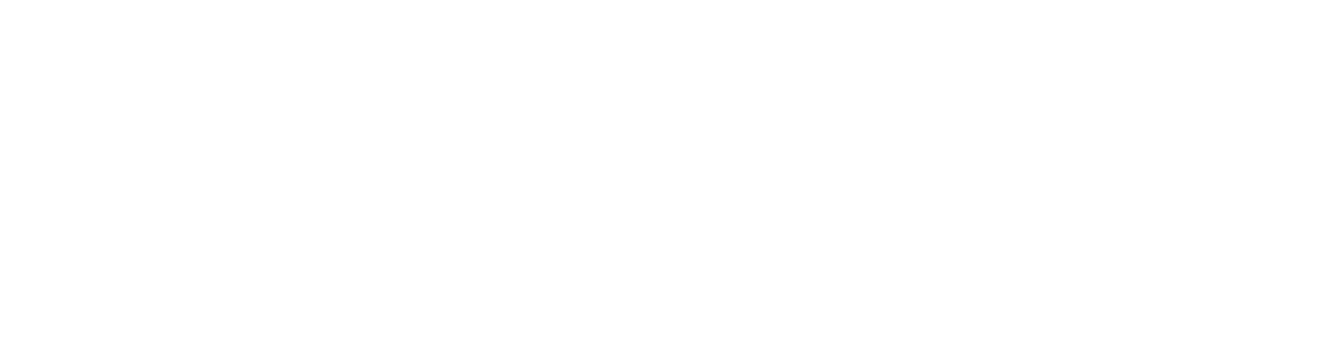 Flyte Logo